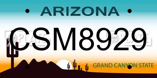 CSM8929 Arizona License Plate