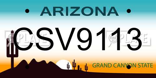 CSV9113 Arizona License Plate
