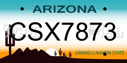 CSX7873 Arizona License Plate