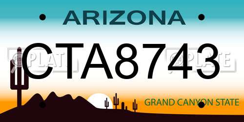 CTA8743 Arizona License Plate