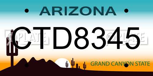CTD8345 Arizona License Plate