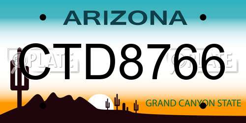 CTD8766 Arizona License Plate