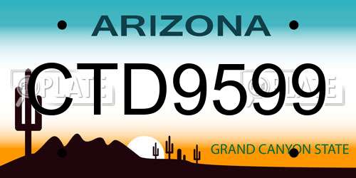 CTD9599 Arizona License Plate