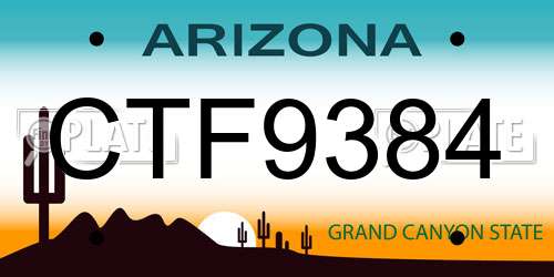 CTF9384 Arizona License Plate