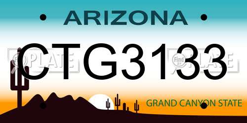 CTG3133 Arizona License Plate