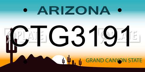 CTG3191 Arizona License Plate