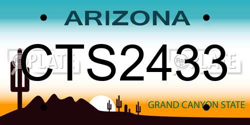CTS2433 Arizona License Plate