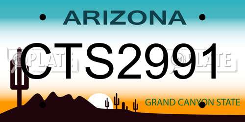 CTS2991 Arizona License Plate