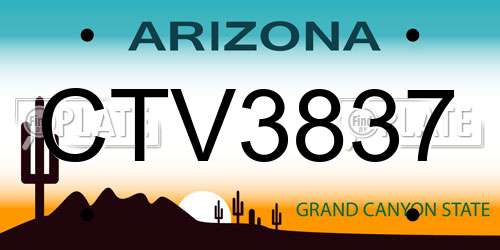 CTV3837 Arizona License Plate