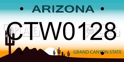 CTW0128 Arizona License Plate
