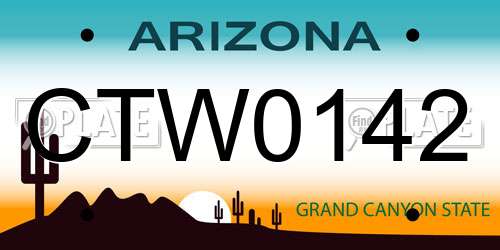CTW0142 Arizona License Plate