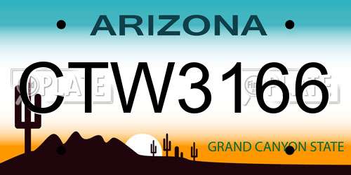 CTW3166 Arizona License Plate