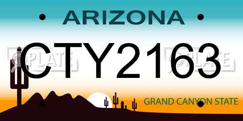 CTY2163 Arizona License Plate