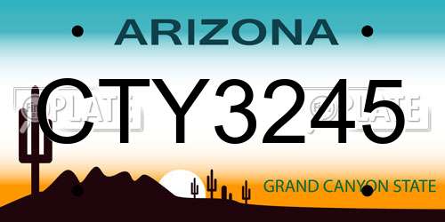 CTY3245 Arizona License Plate