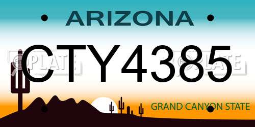 CTY4385 Arizona License Plate