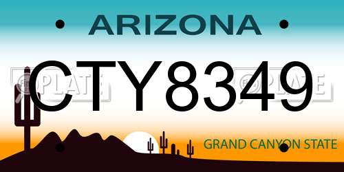 CTY8349 Arizona License Plate