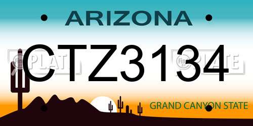 CTZ3134 Arizona License Plate