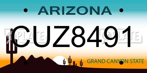 CUZ8491 Arizona License Plate