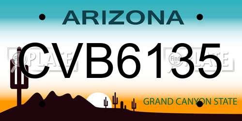 CVB6135 Arizona License Plate