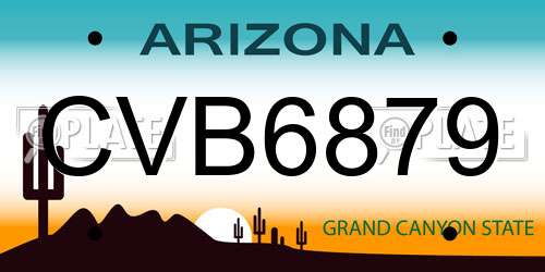 CVB6879 Arizona License Plate