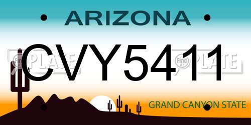 CVY5411 Arizona License Plate