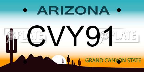 CVY91 Arizona License Plate