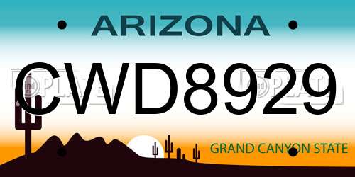 CWD8929 Arizona License Plate