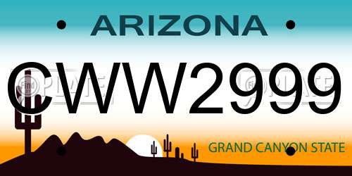 CWW2999 Arizona License Plate