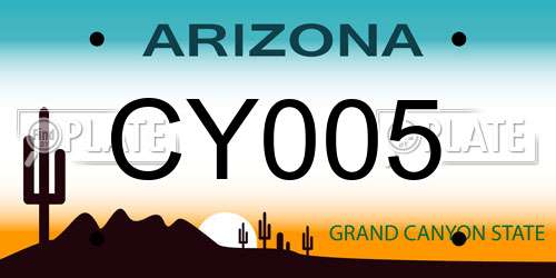 CY005 Arizona License Plate