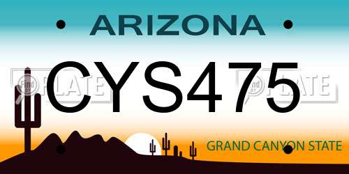 CYS475 Arizona License Plate