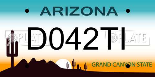D042TI Arizona License Plate