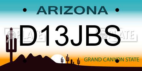 D13JBS Arizona License Plate