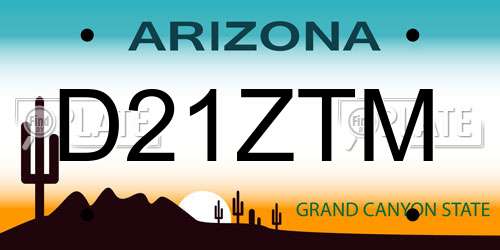 D21ZTM Arizona License Plate