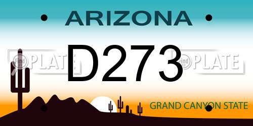 D273 Arizona License Plate