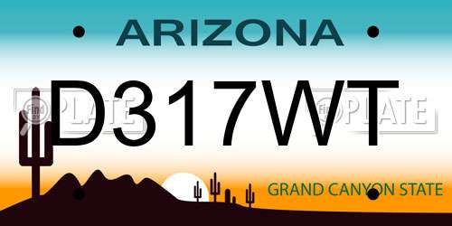 D317WT Arizona License Plate