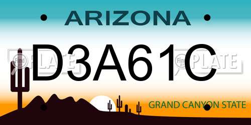 D3A61C Arizona License Plate