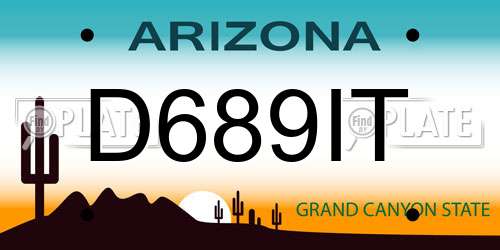D689IT Arizona License Plate
