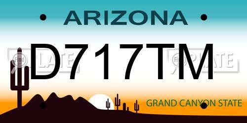 D717TM Arizona License Plate
