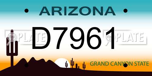 D7961 Arizona License Plate