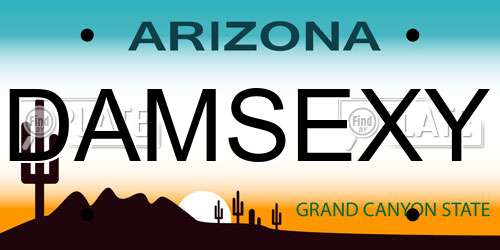 DAMSEXY Arizona License Plate