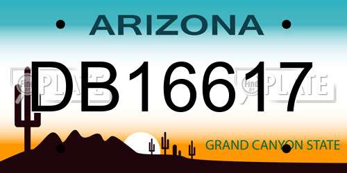 DB16617 Arizona License Plate