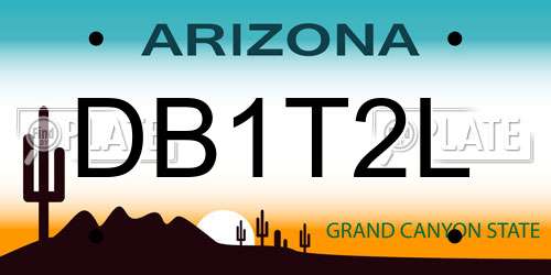 DB1T2L Arizona License Plate