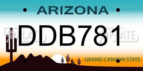 DDB781 Arizona License Plate