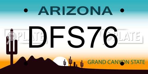 DFS76 Arizona License Plate