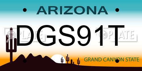 DGS91T Arizona License Plate