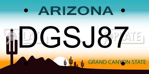 DGSJ87 Arizona License Plate