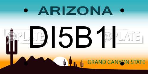 DI5B1I Arizona License Plate