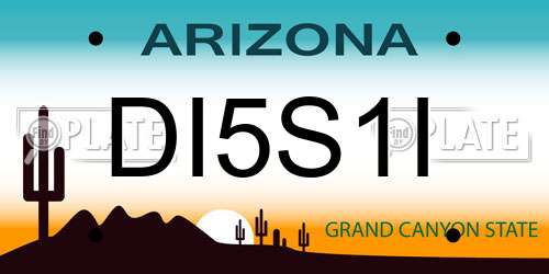DI5S1I Arizona License Plate
