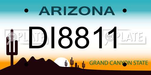 DI8811 Arizona License Plate