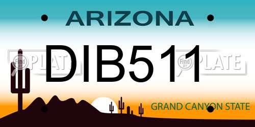 DIB511 Arizona License Plate